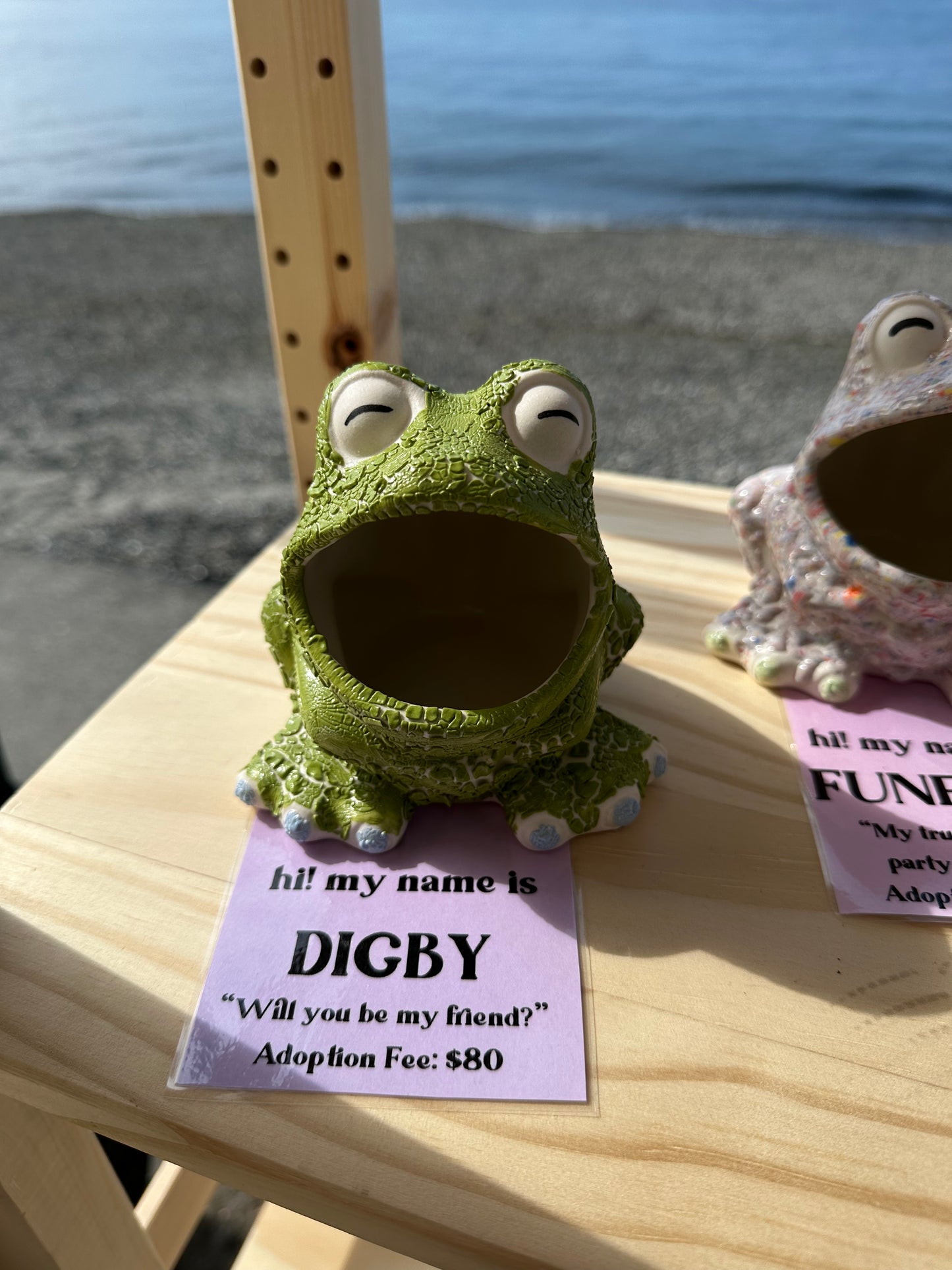 Frog Buddies