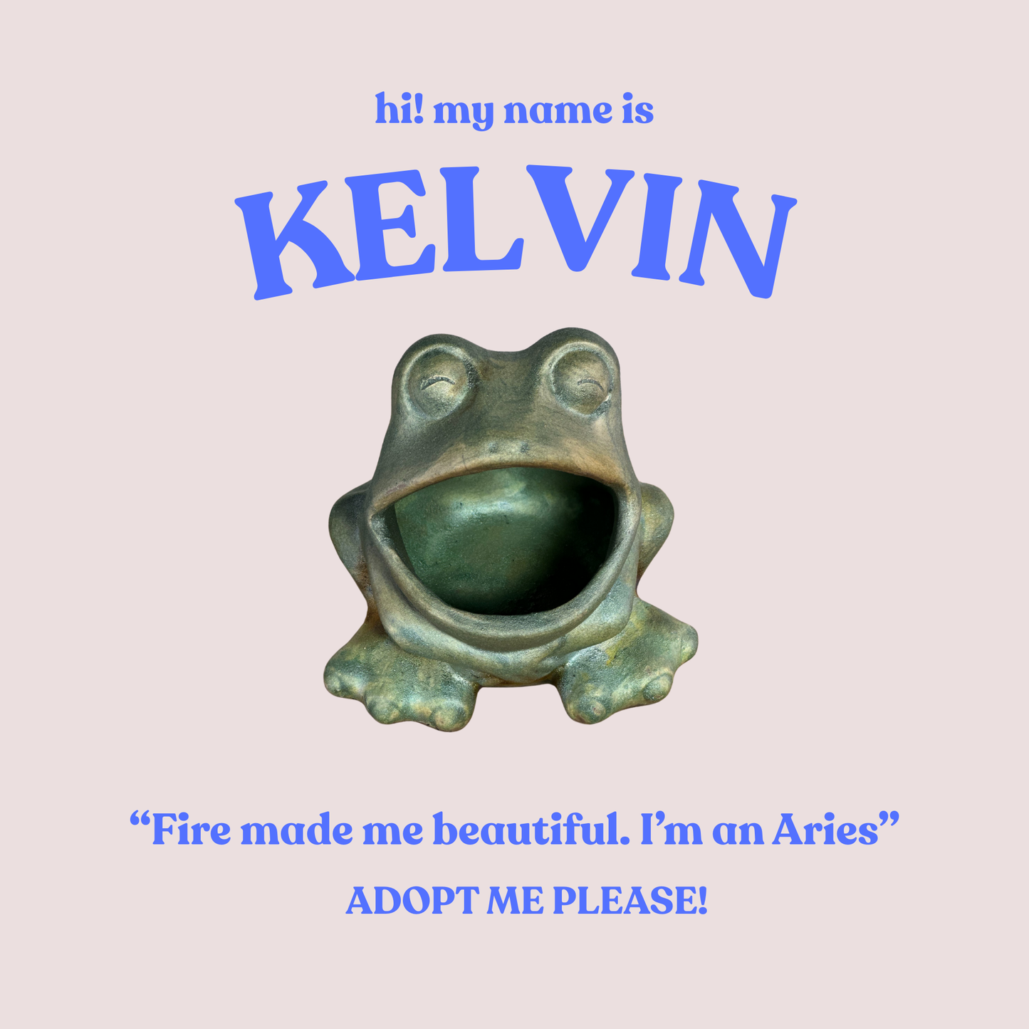 Frog Buddies
