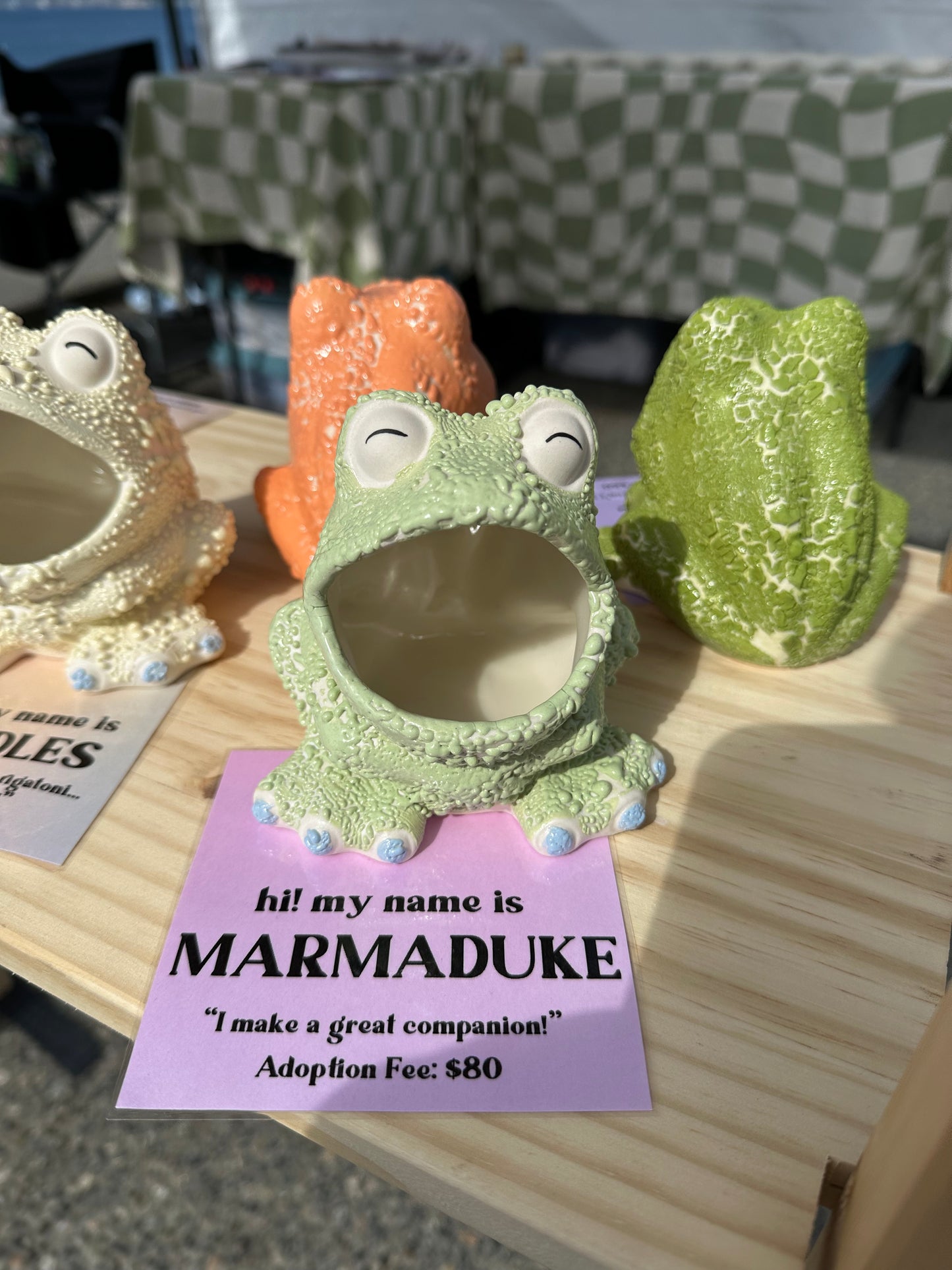 Frog Buddies